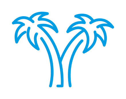 palm Icon